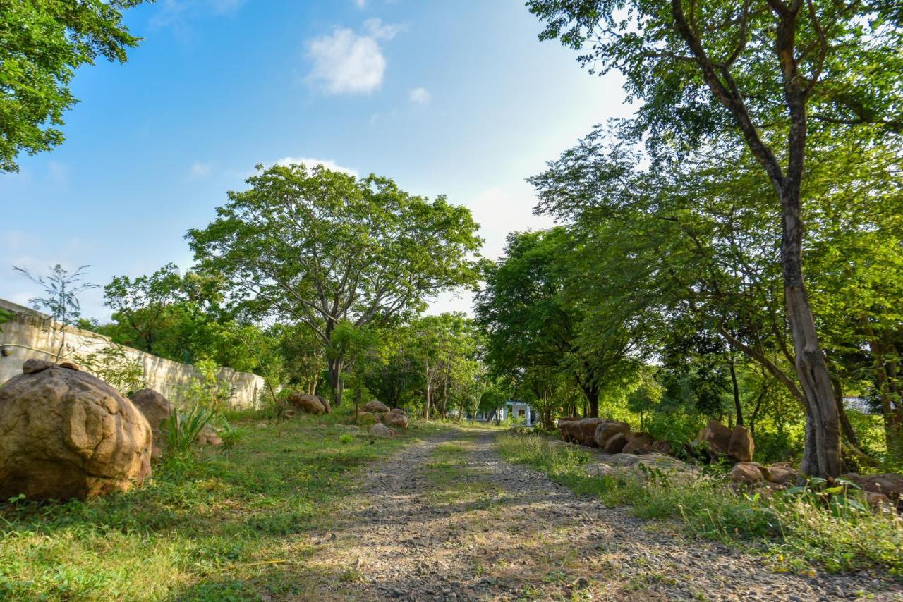 Andarawewa Nature Resort Anuradhapura Exterior photo