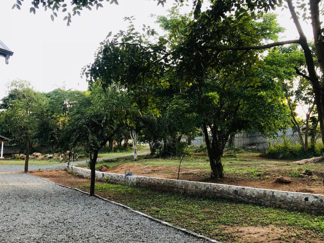 Andarawewa Nature Resort Anuradhapura Exterior photo